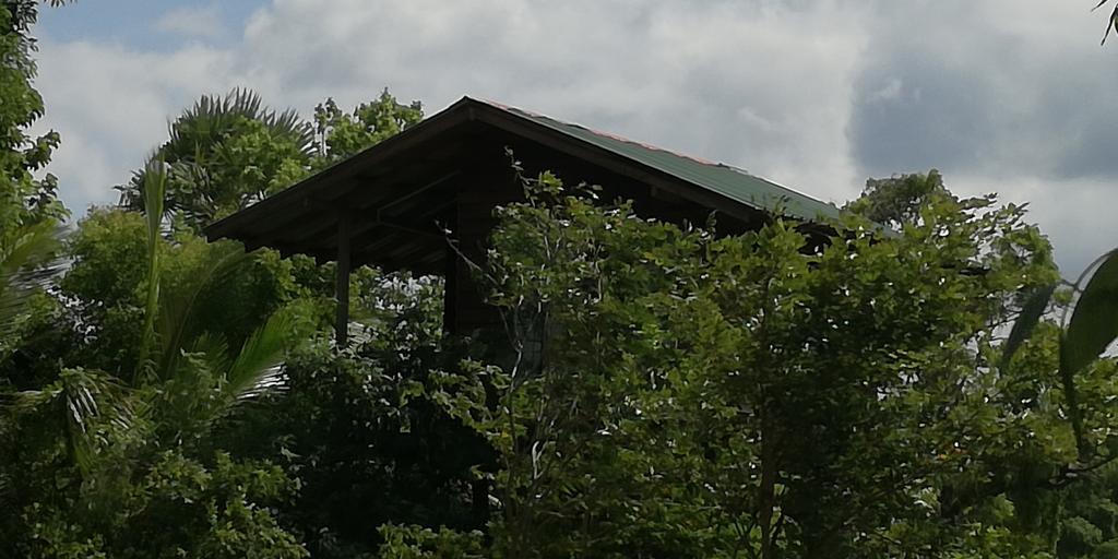 Sigiri Forest View Szigirija Kültér fotó